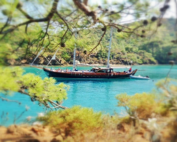 Private Gulet Trippin